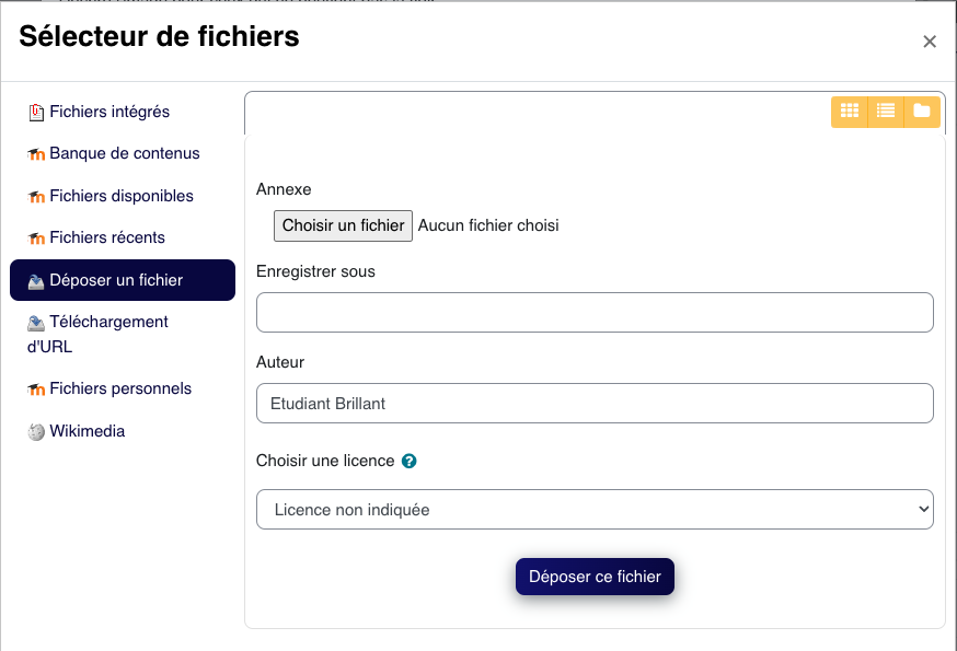 Le sélecteur de fichiers permet de déposer une image depuis son poste avant de l'insérer dans la zone de texte.