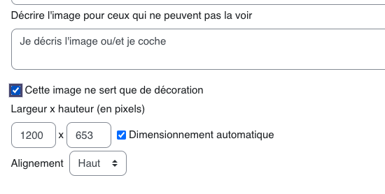 Le champ de description sert à expliquer l'image aux lecteurs d'écran; l'option décorative ne se coche que si l'image n'apporte aucune information utile.