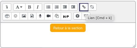 Enregistrer et afficher permet de vérifier immédiatement le rendu du fichier tel que l'apprenant le verra dans le cours.