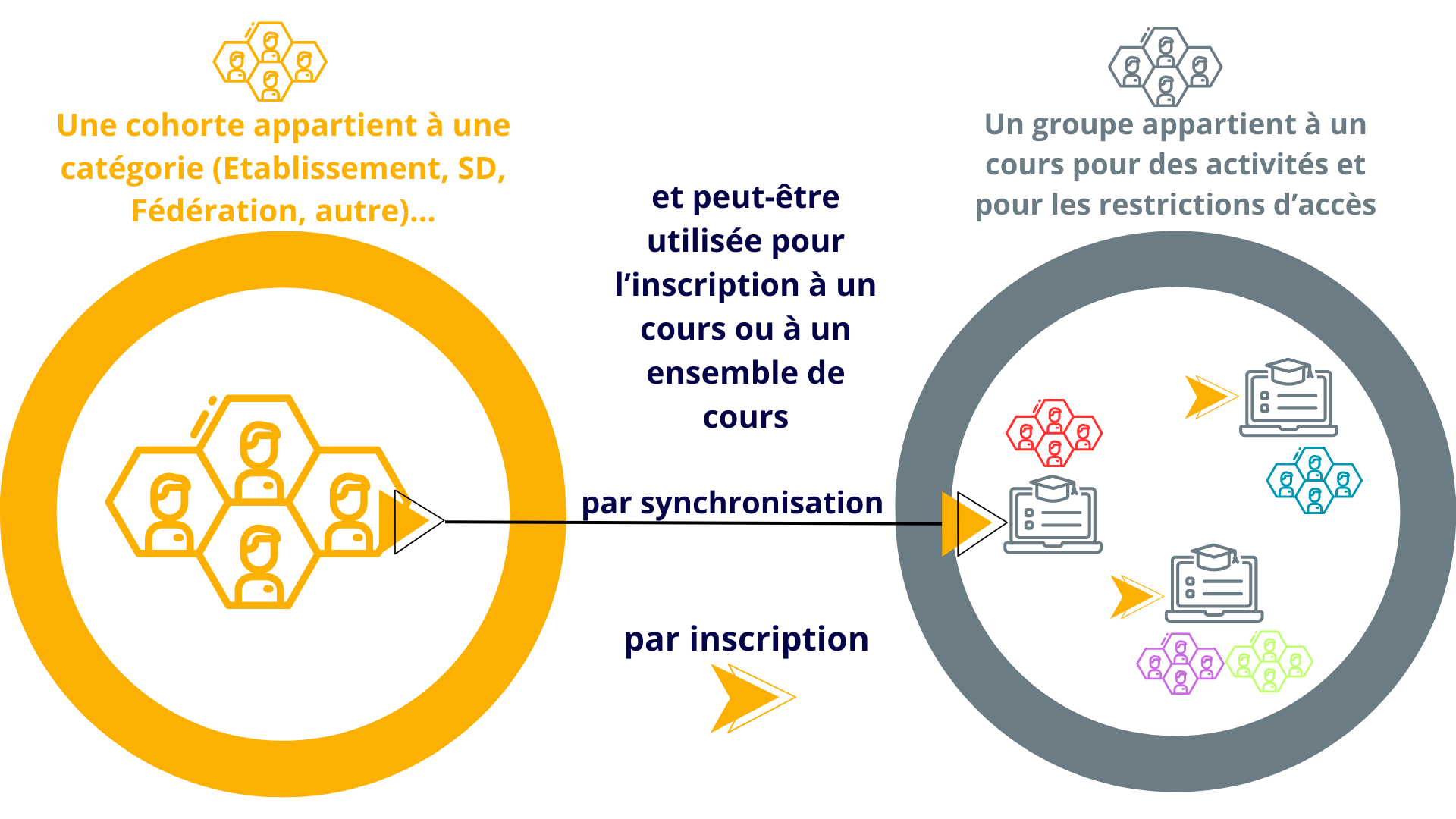 Une cohorte appartient à une catégorie ou à la plateforme; elle peut ensuite inscrire un ensemble d'utilisateurs dans un ou plusieurs cours.