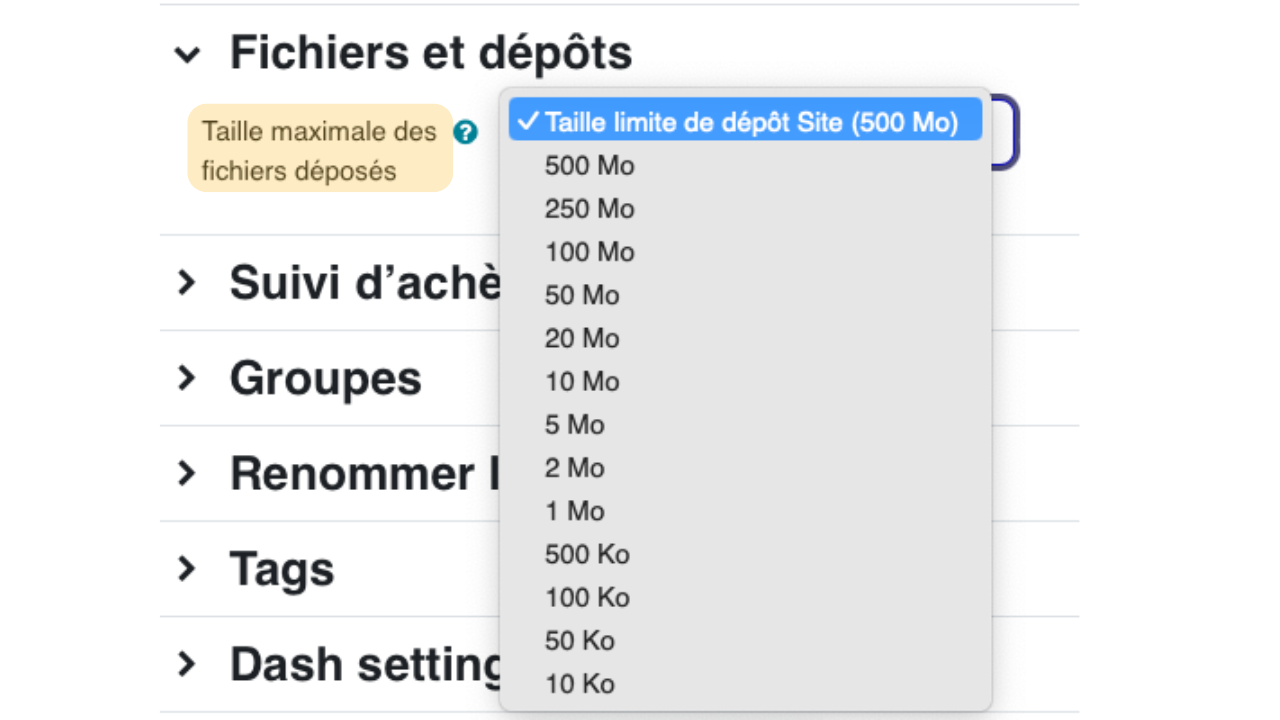 La taille maximale des fichiers fixe une limite pour les dépôts dans le cours; elle doit rester cohérente avec les ressources attendues des enseignants et apprenants.