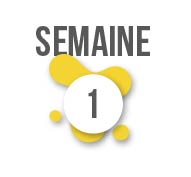 Planning du 20 au 24 janvier