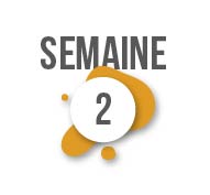 Planning du 27 au 31 janvier
