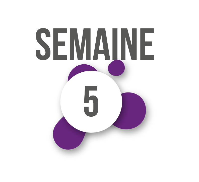 Planning du 6 au 10 octobre