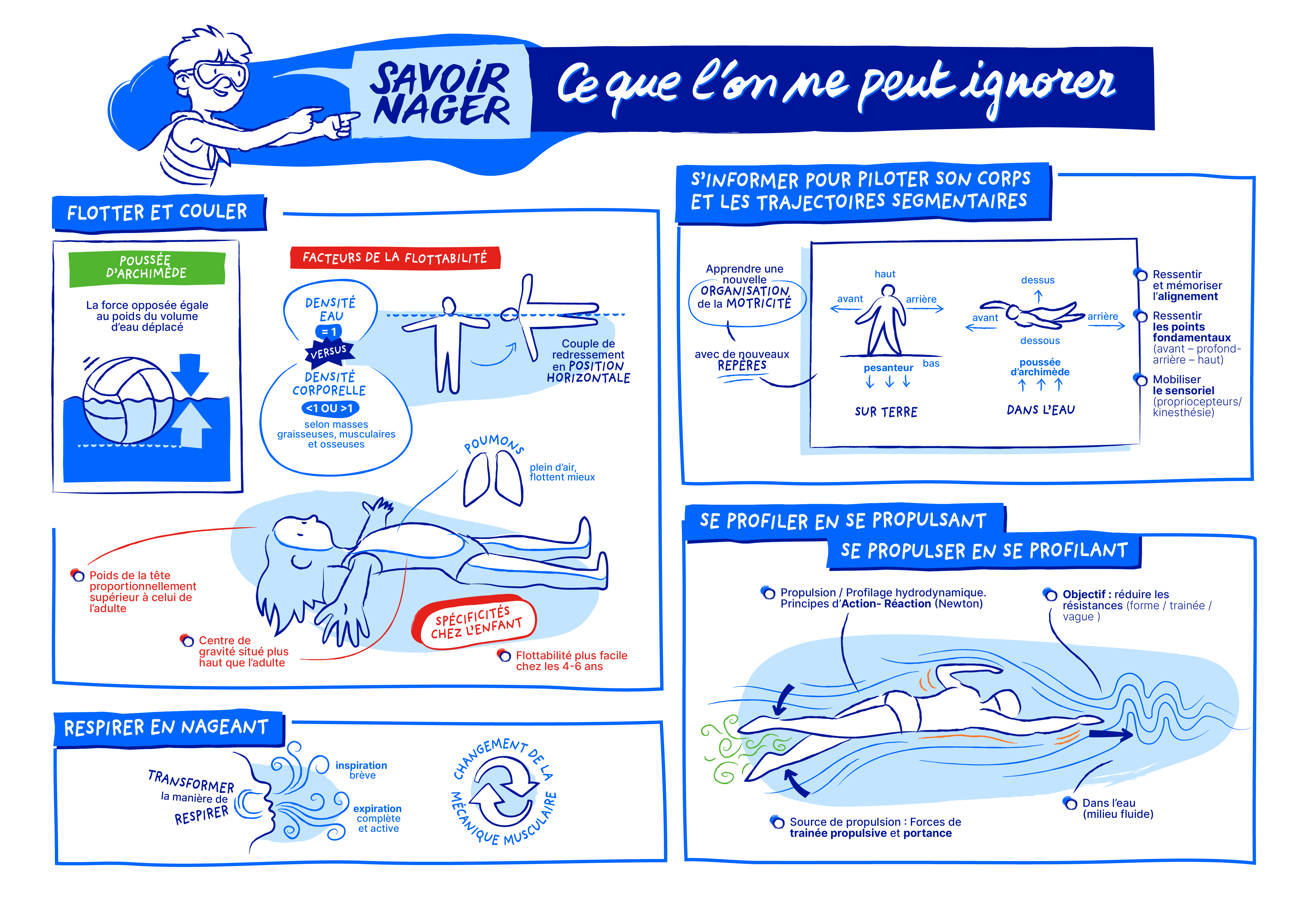 Infographie des notions clés du chapitre