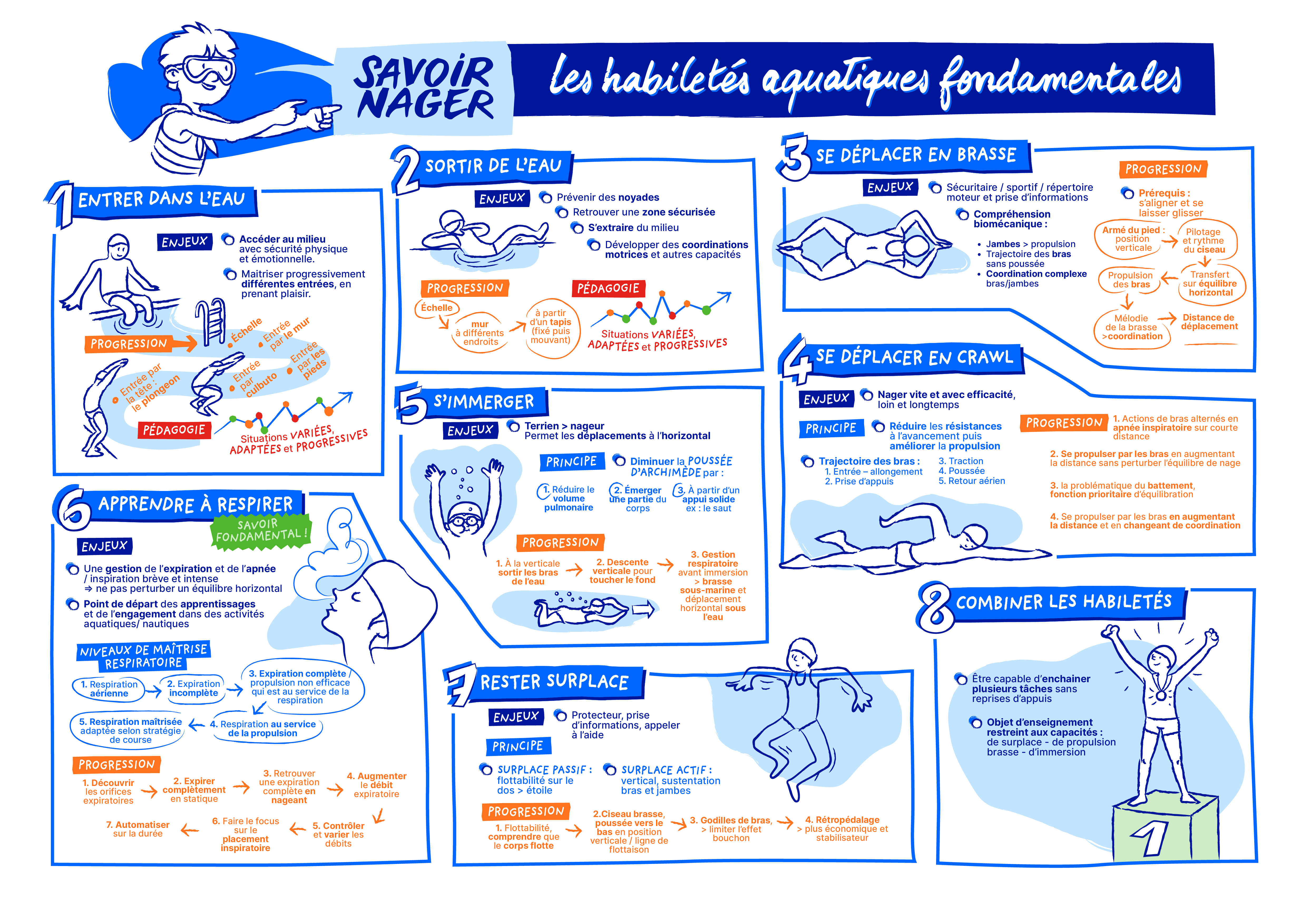 Infographie des notions clés de ce chapitre